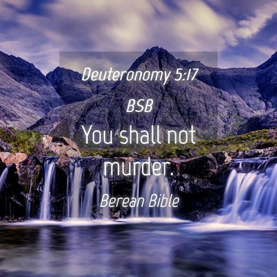 Picture 04 - Deuteronomy 5:17 BSB - You shall not - Bible Verse Picture