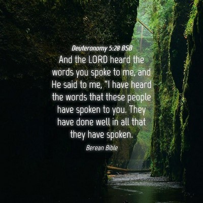 Picture 04 - Deuteronomy 5:28 BSB - And the LORD heard the words you spoke to me, and - Bible Verse Picture