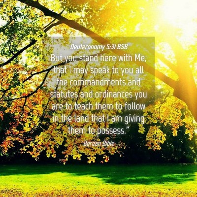 Picture 04 - Deuteronomy 5:31 BSB - But you stand here with Me, that I may speak to - Bible Verse Picture