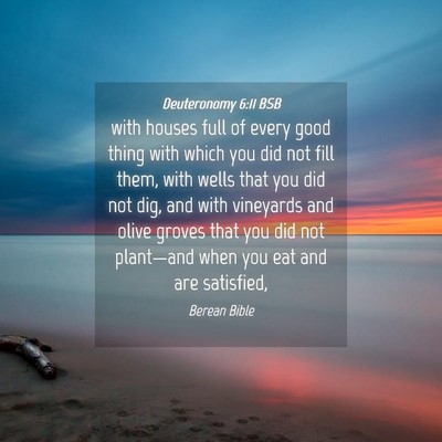 Picture 04 - Deuteronomy 6:11 BSB - with houses full of every good thing with which - Bible Verse Picture