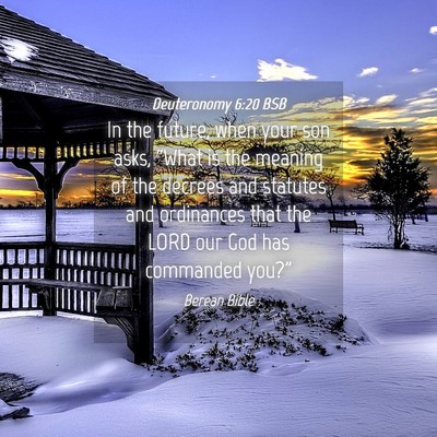 Picture 04 - Deuteronomy 6:20 BSB - In the future, when your son asks, “What is the - Bible Verse Picture