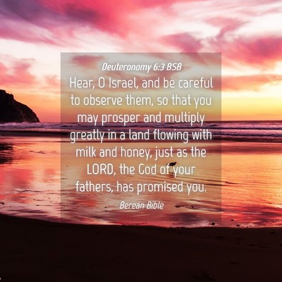 Picture 04 - Deuteronomy 6:3 BSB - Hear, O Israel, and be careful to observe them, - Bible Verse Picture