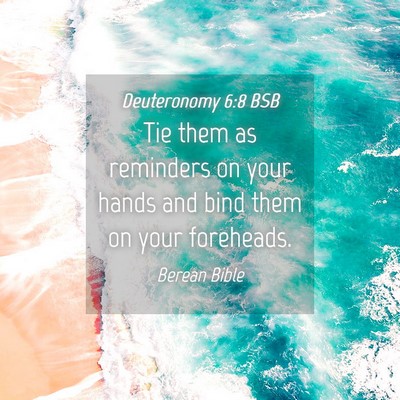 Picture 04 - Deuteronomy 6:8 BSB - Tie them as reminders on your hands and bind them - Bible Verse Picture