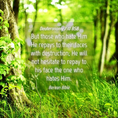 Picture 04 - Deuteronomy 7:10 BSB - But those who hate Him He repays to their faces - Bible Verse Picture