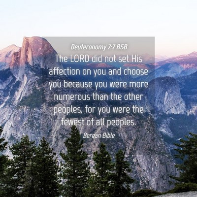 Picture 04 - Deuteronomy 7:7 BSB - The LORD did not set His affection on you and - Bible Verse Picture