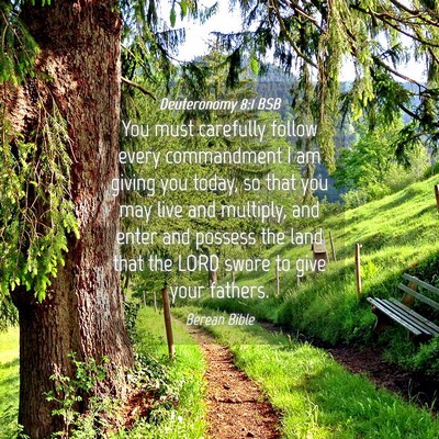 Picture 04 - Deuteronomy 8:1 BSB - You must carefully follow every commandment I am - Bible Verse Picture