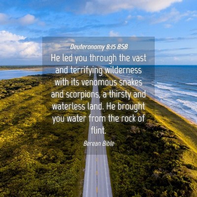 Picture 04 - Deuteronomy 8:15 BSB - He led you through the vast and terrifying - Bible Verse Picture