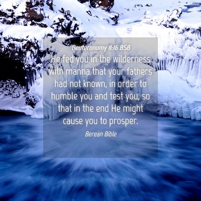 Picture 04 - Deuteronomy 8:16 BSB - He fed you in the wilderness with manna that your - Bible Verse Picture