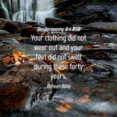Picture 04 - Deuteronomy 8:4 BSB - Your clothing did not wear out and your feet did - Bible Verse Picture