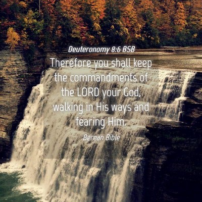 Picture 04 - Deuteronomy 8:6 BSB - Therefore you shall keep the commandments of the - Bible Verse Picture