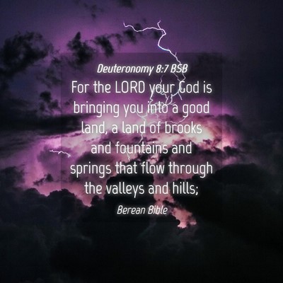 Picture 04 - Deuteronomy 8:7 BSB - For the LORD your God is bringing you into a good - Bible Verse Picture