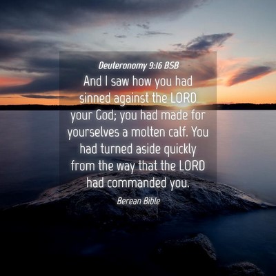 Picture 04 - Deuteronomy 9:16 BSB - And I saw how you had sinned against the LORD - Bible Verse Picture