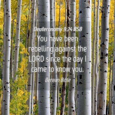 Picture 04 - Deuteronomy 9:24 BSB - You have been rebelling against the LORD since - Bible Verse Picture