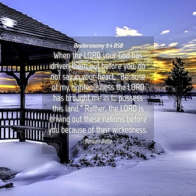 Picture 04 - Deuteronomy 9:4 BSB - When the LORD your God has driven them out before - Bible Verse Picture