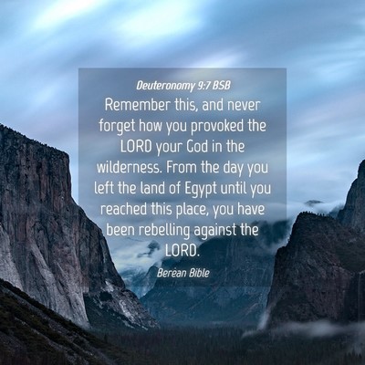 Picture 04 - Deuteronomy 9:7 BSB - Remember this, and never forget how you provoked - Bible Verse Picture