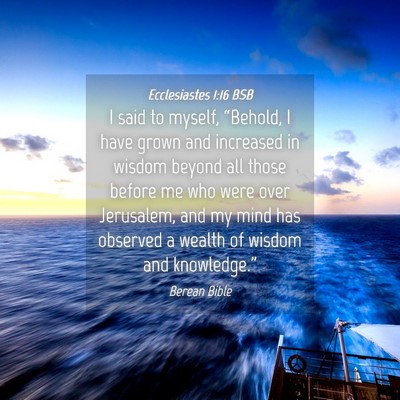 Picture 04 - Ecclesiastes 1:16 BSB - I said to myself, “Behold, I have grown and - Bible Verse Picture