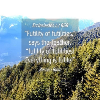 Picture 04 - Ecclesiastes 1:2 BSB - “Futility of futilities,” says the Teacher, - Bible Verse Picture