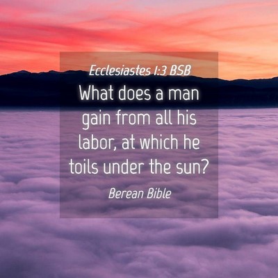 Picture 04 - Ecclesiastes 1:3 BSB - What does a man gain from all his labor, at which - Bible Verse Picture
