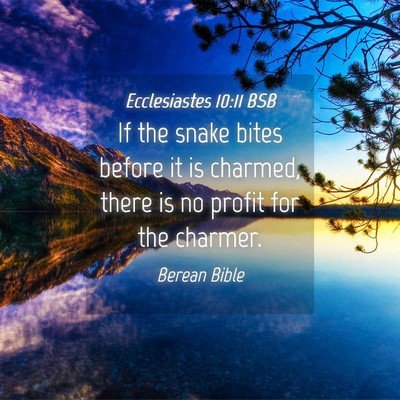Picture 04 - Ecclesiastes 10:11 BSB - If the snake bites before it is charmed, there is - Bible Verse Picture