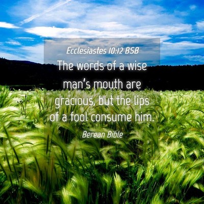 Picture 04 - Ecclesiastes 10:12 BSB - The words of a wise man’s mouth are gracious, - Bible Verse Picture