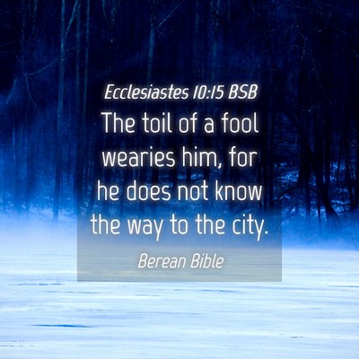 Picture 04 - Ecclesiastes 10:15 BSB - The toil of a fool wearies him, for he does not - Bible Verse Picture
