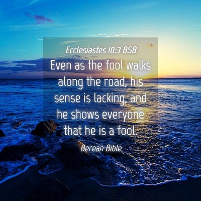 Picture 04 - Ecclesiastes 10:3 BSB - Even as the fool walks along the road, his sense - Bible Verse Picture