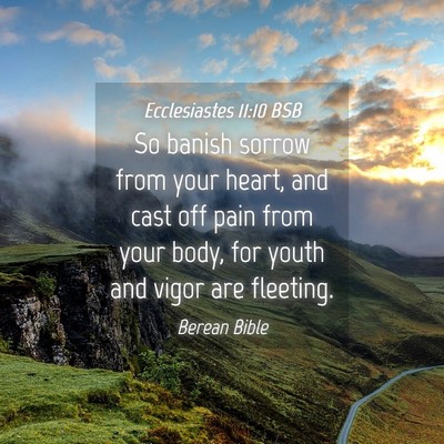 Picture 04 - Ecclesiastes 11:10 BSB - So banish sorrow from your heart, and cast off - Bible Verse Picture