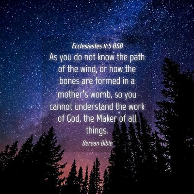 Picture 04 - Ecclesiastes 11:5 BSB - As you do not know the path of the wind, or how - Bible Verse Picture