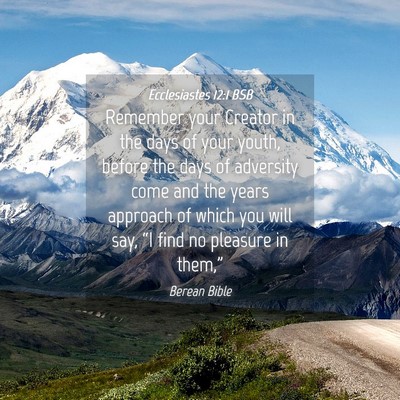 Picture 04 - Ecclesiastes 12:1 BSB - Remember your Creator in the days of your youth, - Bible Verse Picture