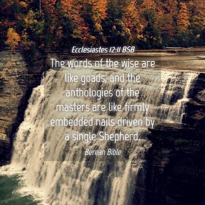 Picture 04 - Ecclesiastes 12:11 BSB - The words of the wise are like goads, and the - Bible Verse Picture