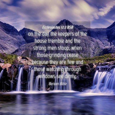Picture 04 - Ecclesiastes 12:3 BSB - on the day the keepers of the house tremble and - Bible Verse Picture