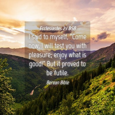 Picture 04 - Ecclesiastes 2:1 BSB - I said to myself, “Come now, I will test you - Bible Verse Picture