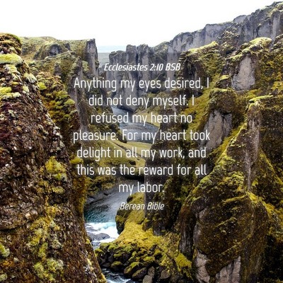 Picture 04 - Ecclesiastes 2:10 BSB - Anything my eyes desired, I did not deny myself. - Bible Verse Picture