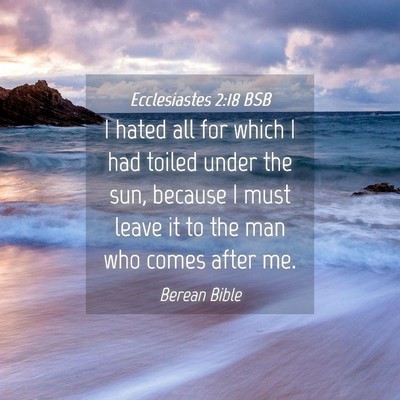 Picture 04 - Ecclesiastes 2:18 BSB - I hated all for which I had toiled under the sun, - Bible Verse Picture