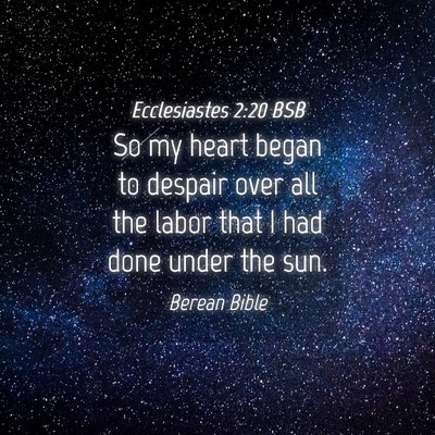 Picture 04 - Ecclesiastes 2:20 BSB - So my heart began to despair over all the labor - Bible Verse Picture