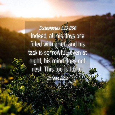 Picture 04 - Ecclesiastes 2:23 BSB - Indeed, all his days are filled with grief, and - Bible Verse Picture