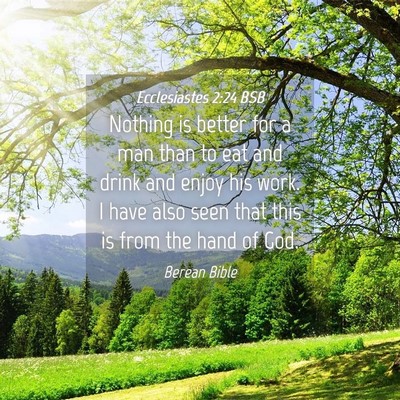 Picture 04 - Ecclesiastes 2:24 BSB - Nothing is better for a man than to eat and drink - Bible Verse Picture