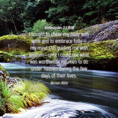Picture 04 - Ecclesiastes 2:3 BSB - I sought to cheer my body with wine and to - Bible Verse Picture