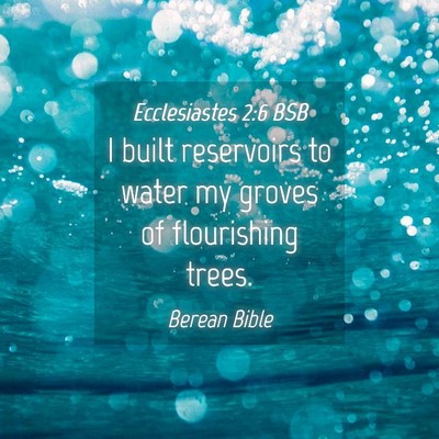 Picture 04 - Ecclesiastes 2:6 BSB - I built reservoirs to water my groves of - Bible Verse Picture