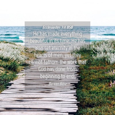 Picture 04 - Ecclesiastes 3:11 BSB - He has made everything beautiful in its time. He - Bible Verse Picture