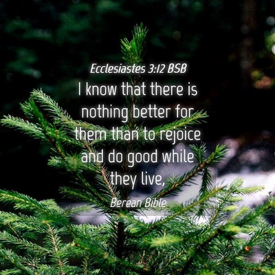 Picture 04 - Ecclesiastes 3:12 BSB - I know that there is nothing better for them than - Bible Verse Picture