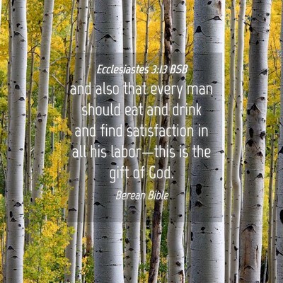 Picture 04 - Ecclesiastes 3:13 BSB - and also that every man should eat and drink and - Bible Verse Picture