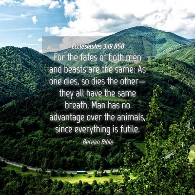 Picture 04 - Ecclesiastes 3:19 BSB - For the fates of both men and beasts are the - Bible Verse Picture