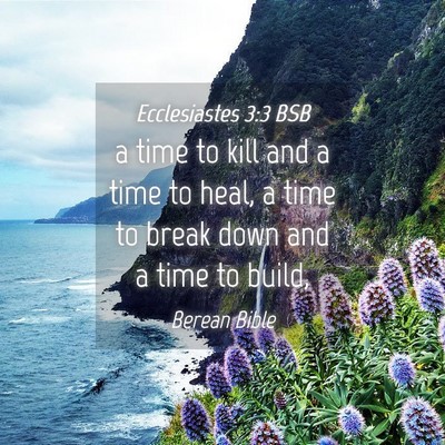 Picture 04 - Ecclesiastes 3:3 BSB - a time to kill and a time to heal, a time to - Bible Verse Picture
