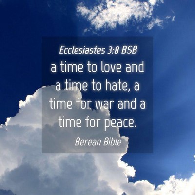 Picture 04 - Ecclesiastes 3:8 BSB - a time to love and a time to hate, a time for war - Bible Verse Picture