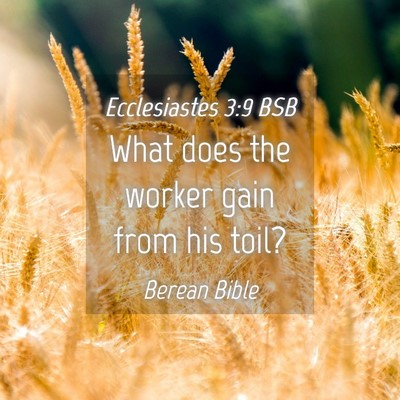 Picture 04 - Ecclesiastes 3:9 BSB - What does the worker gain from his - Bible Verse Picture