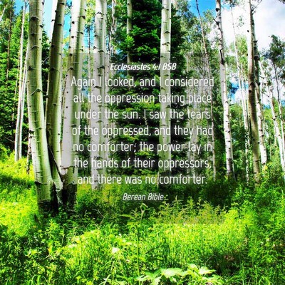 Picture 04 - Ecclesiastes 4:1 BSB - Again I looked, and I considered all the - Bible Verse Picture
