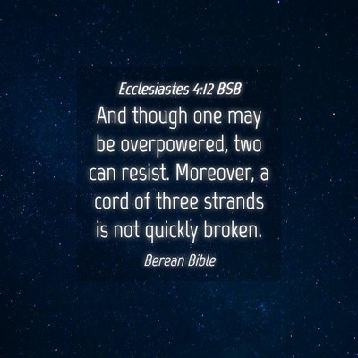 Picture 04 - Ecclesiastes 4:12 BSB - And though one may be overpowered, two can - Bible Verse Picture