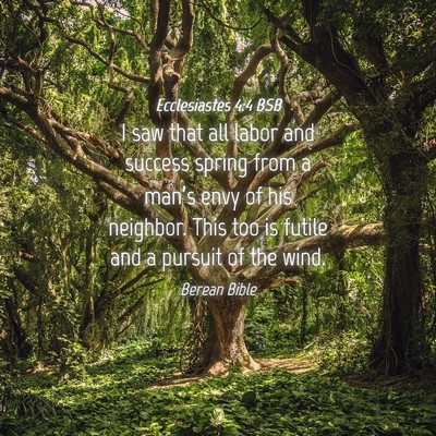 Picture 04 - Ecclesiastes 4:4 BSB - I saw that all labor and success spring from a - Bible Verse Picture
