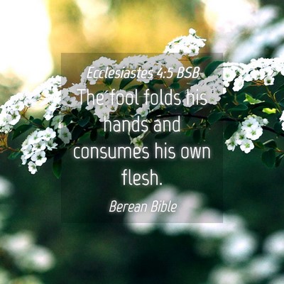 Picture 04 - Ecclesiastes 4:5 BSB - The fool folds his hands and consumes his own - Bible Verse Picture